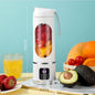 Mini Portable Home Juicer