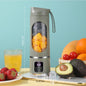 Mini Portable Home Juicer